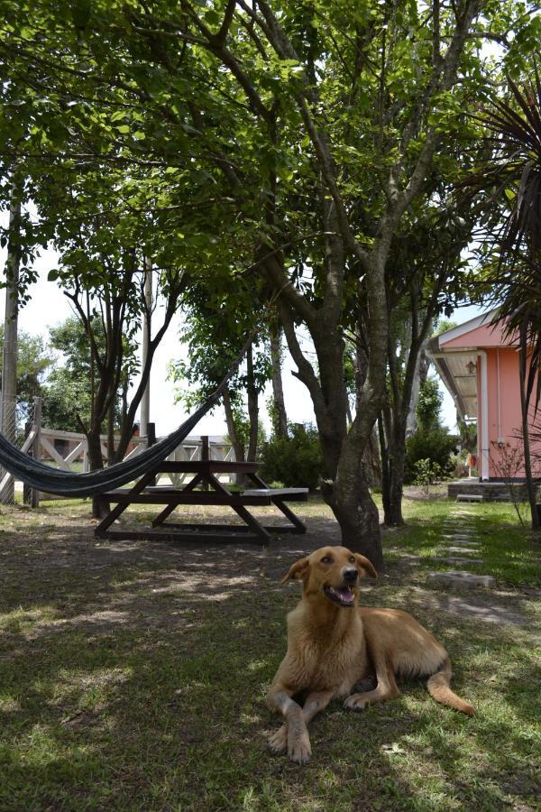 Rulitos De Sol *